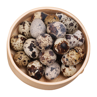 xian wo wo/鲜窝窝 新鲜 生鹌鹑蛋 卤蛋料包 100枚 有卤料包 简装 1kg