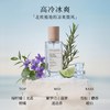 Atelier Rebul 木质玫瑰柑橘淡香水 50ml