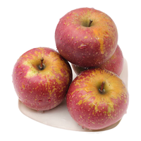  甜果源 冰糖心 苹果