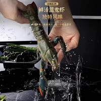 半蓝岛 鲜活 澳洲淡水小龙虾