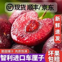  小农兔  车厘子