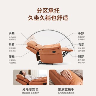  ZUOYOU/左右家私 科技布艺 单人沙发 ④电动带摇单椅科技布-玛瑙棕