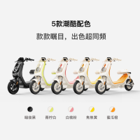 小牛电动 K Sport 电动自行车 铅酸电池