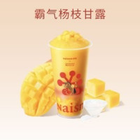 奈雪 霸气杨枝甘露中杯
