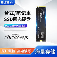 BLKE NVMe固态硬盘 256GB