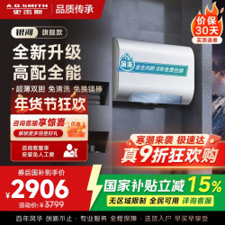 A.O.SMITH 佳尼特家用电热水器60升 免清洗免换镁棒 双胆速热 一级能效 银河AIR