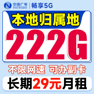 中国广电 本地归属地 长期29元月租（无需返费+222G通用流量+可办副卡+无合约期）畅享5G盛平卡