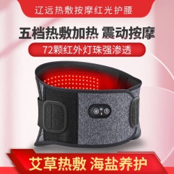 辽远 电加热护腰带腰间盘突出治疗仪腰肌劳损按摩器红外线 FN2004