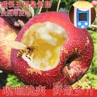  蜜自然 冰糖心 红富士苹果