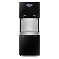  DEMASHI/德玛仕 直饮机商用直饮水机公司用直饮水机开水器不锈钢直饮机SRZ-30/SRZ-2L（一开一净）