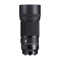SIGMA 适马 Art 105mm F2.8 DG DN MACRO 长焦定焦镜头 索尼E卡口 62mm