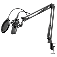  NINTAUS/金正 万向旋悬臂折叠防震 麦克风支架