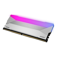 BIWIN 佰维 DX100 DDR5 6000MHz RGB 台式机内存 灯条 星光银 32GB 16GBx2 C30