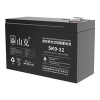  山克 免维护 铅酸蓄电池