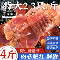 鲜喜利 舟山野生皮皮虾 11-13cm 1000g