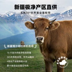 汪爸爸 鲜肉全价 狗粮