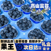 移动专享：HIGH SIERRA 宝宝杯蓝莓果王M29 Blueberry15~22+mm当季新鲜采摘花香浓郁