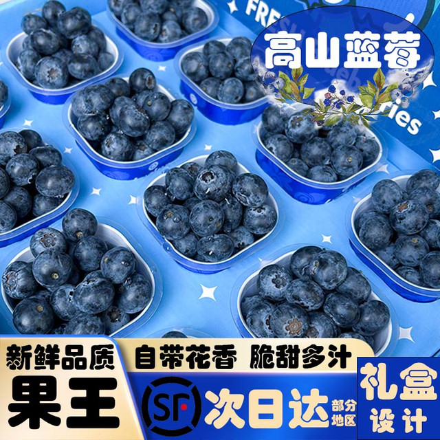 移动专享：HIGH SIERRA 宝宝杯蓝莓果王M29 Blueberry15~22+mm当季新鲜采摘花香浓郁