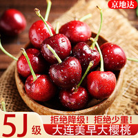 京地达 大连美早大樱桃 5J级 1斤