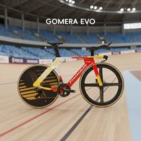 LYVA GOMERA EVO DURA ACE Di2 TT车 PD67