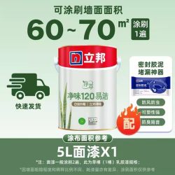 立邦 NIPPON PAINT 立邦 净味120二合一内墙面漆 5L 哑光
