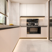 金牌厨柜 整体橱柜定制 石英石台面