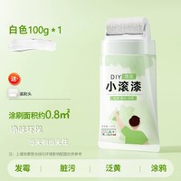 凯诺森 奶油级防水补墙膏 小滚刷漆100g 白色
