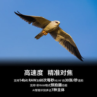  SONY/索尼 约30张/秒连拍 全画幅微单数码相机+CF-A存储卡 A7M5+索尼CEA-G240T CF-A存储卡套装