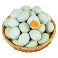 乡公馆新鲜乌鸡蛋 农家谷物散养 生鲜 绿壳土鸡蛋 60枚（整箱2700g）