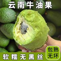国产 云南哈斯牛油果 70-100g 新鲜水果