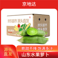 京地达 山东潍县水果萝卜 2.5kg