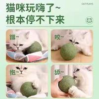 瓜洲牧 猫薄荷球玩具互动猫咪磨牙神器耐咬猫玩具用品自嗨解闷磨牙果大球