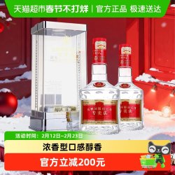五粮液 纪念1995年成立第一家专卖店 52度浓香型白酒500ml*2瓶