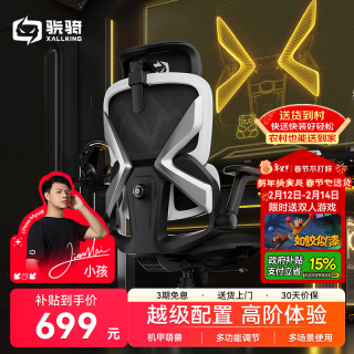 骁骑 X7电竞椅子人体工学椅游戏电脑椅家用办公久坐可躺 X7标准版