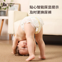 母婴坊 轻奢便携拉拉裤L码40片透气大吸量低敏成长裤