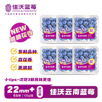 佳沃 云南蓝莓脆脆花香系列巨大果 22mm+ 6 盒装（约 125g / 盒）
