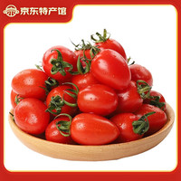 静益乐源 广西千禧圣女果  2.5kg装