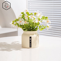 水木然 北欧仿真尤加利雏菊室内盆景摆件 仿真尤加利雏菊+白盆