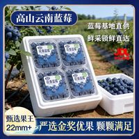 余悦 云南蓝莓礼盒花香蓝莓臻选年货礼盒小蓝杯过节送礼