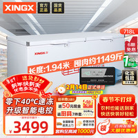 星星 718升单温冰柜商用冷藏冷冻两用卧式冰箱商用大容量保鲜速冻雪柜一级能效-40℃冷冻柜BD/BC-718GD