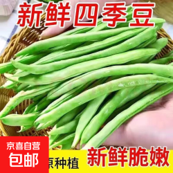京喜 新鲜现摘四季豆角带箱2斤