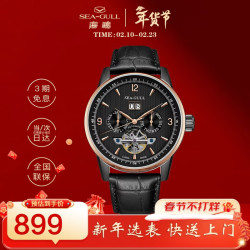 海鸥 巨匠系列 44毫米自动上链腕表 219.328 炫金黑盘