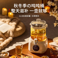 安比速 安本素全玻璃花茶桶电陶养生壶 家用多功能恒温烧水壶 3L容量煮茶器烧水杯