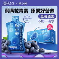 宁安堡 黑枸杞原浆蓝莓 90袋*1箱
