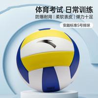 安踏 排球比赛体育课专用中小学体考成人儿童软硬5号排球