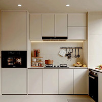 VEVYVEVY 爱格橱柜 现代简约厨柜设计 全屋定制 定金