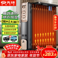 先锋 DYT-Z9 电热油汀 13片