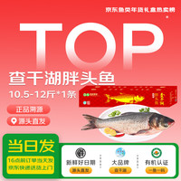 查干湖 鱼 冬捕有机胖头鱼10.5-12斤1条 年货礼盒年夜饭 源头直发