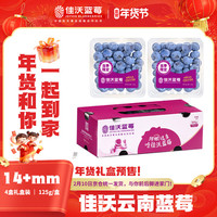 佳沃 新鲜水果 蓝莓  约125g/盒 4盒装 14mm+
