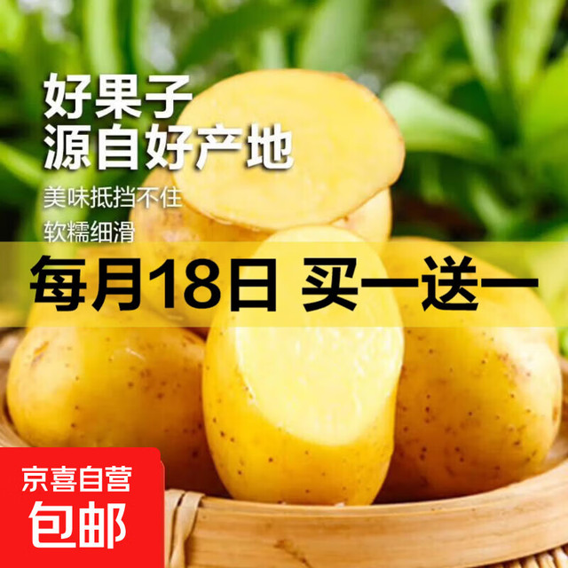 京喜加 山东土豆新鲜现挖2025新土豆农家马铃薯 黄心土豆小果 1斤+1斤 
三人团 0.99元